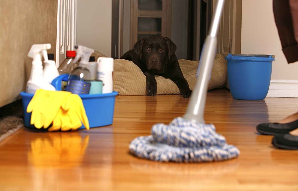 keekeeklean cleaning services